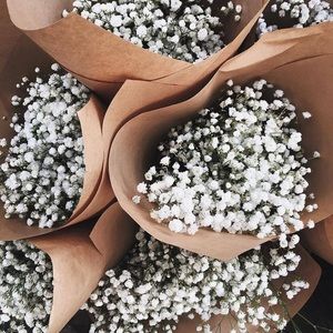 Meet your Posher, Chloe